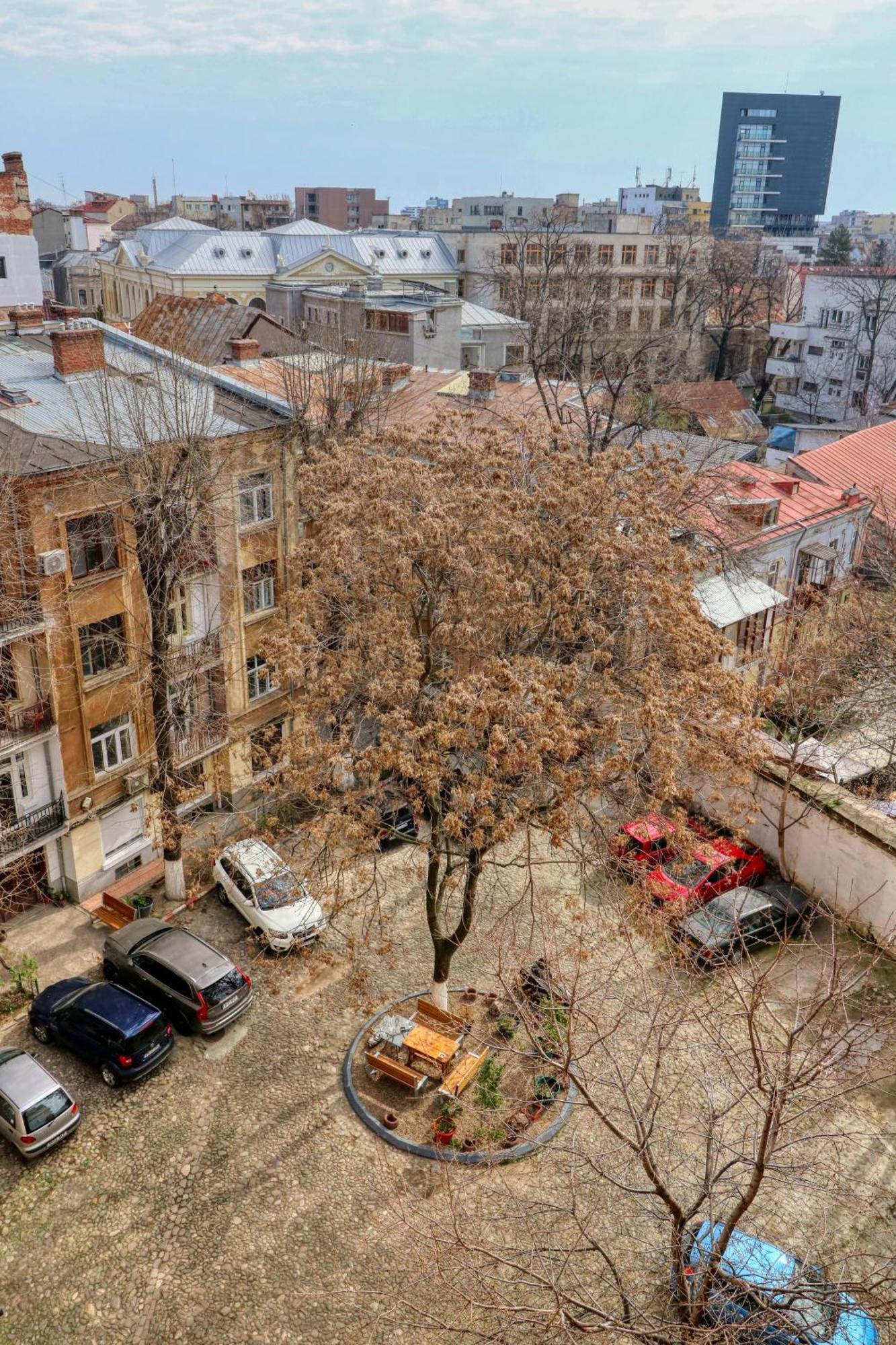 Neo-Classic Design Near Downtown Букурещ Екстериор снимка